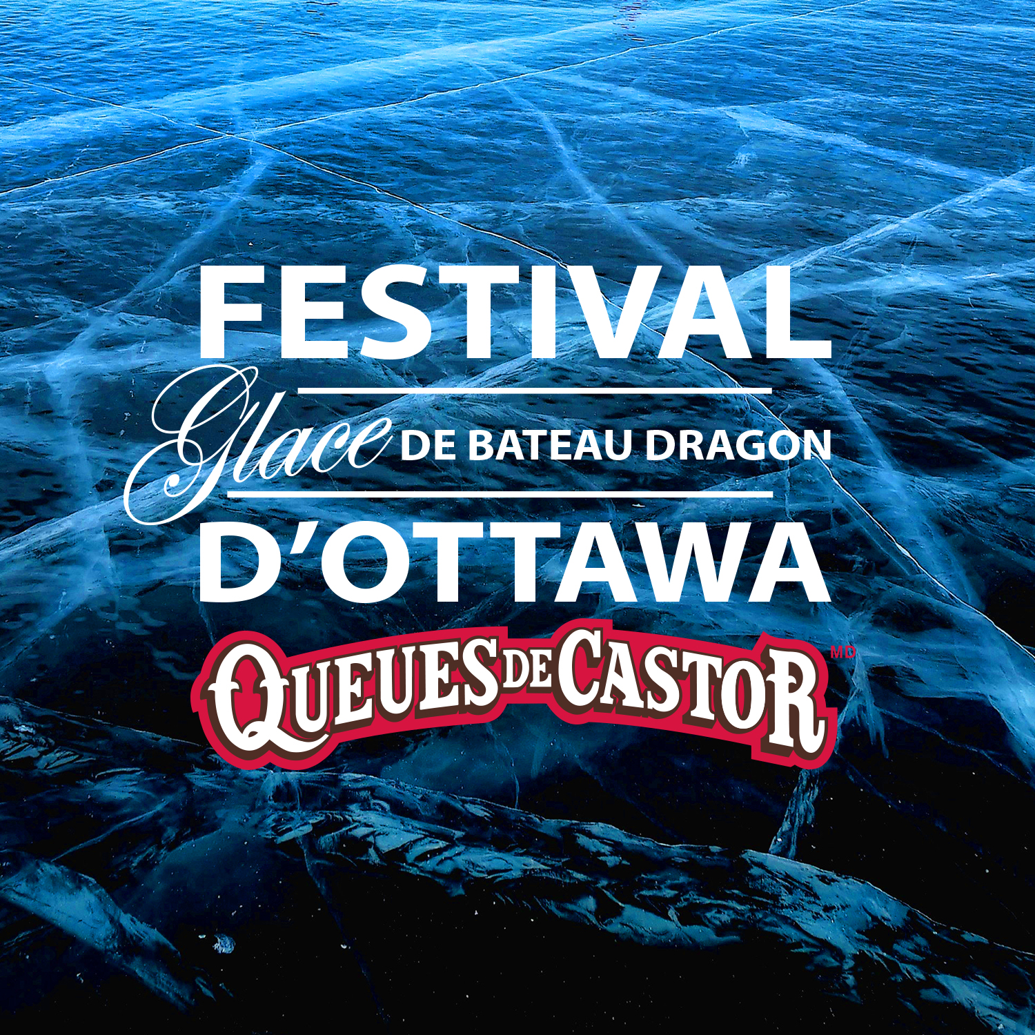 BeaverTails Ottawa Ice Dragon Boat Festival